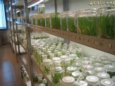 生物教师外出参观
