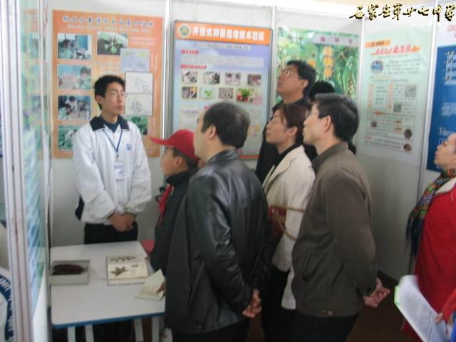 校领导在参观大赛