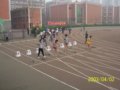 [图文]裕华区第五届中小学生运动会我校再创佳绩