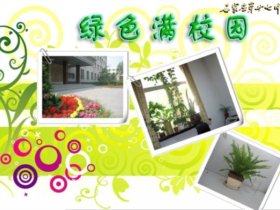 绿色满校园