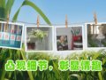 凸现细节，彰显情趣