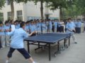 初中乒乓球比赛
