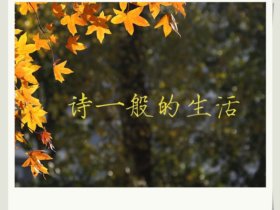 [图文]  诗一般的生活