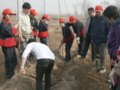 我校宏志生为滹沱河林场再添新绿