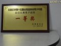 热烈祝贺我校在石家庄市全民运动青少年田径赛中取得优异成绩