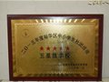 我校荣获区“中小学社团活动五星级学校”