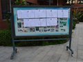 [图片]石家庄市第二十七中学2019年职称推荐打分排名结果公示照片（一）