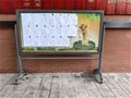 石家庄市第二十七中学 2024年职称推荐结果量化打分排名及个人一览表（一）